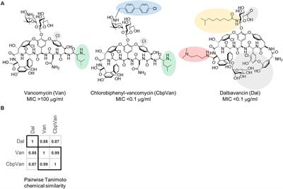 Chemotranscriptomic Profiling Defines Drug-Specific Signatures of the Glycopeptide Antibiotics Dalbavancin, Vancomycin and Chlorobiphenyl-Vancomycin in a VanB-Type-Resistant Streptomycete